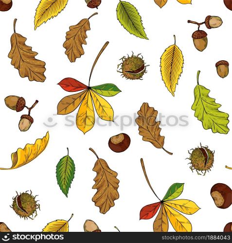 Autumn leaves pattern. Seamless texture with yellow oak and maple foliage. Red and orange chestnut tree twigs. Forest acorns. Decorative fall season herbarium background. Vector nature print template. Autumn leaves pattern. Seamless texture with yellow oak and maple foliage. Red and orange chestnut twigs. Forest acorns. Decorative fall season herbarium background. Vector nature print