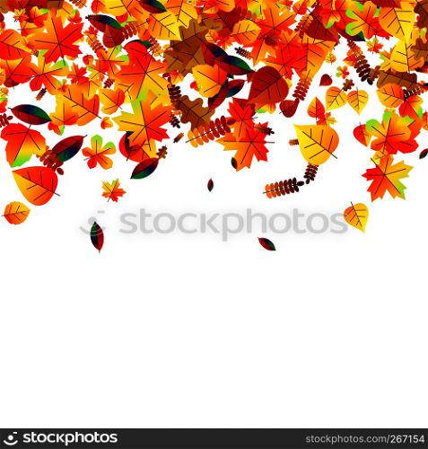 Autumn leaves scattered background with oak, maple and rowan