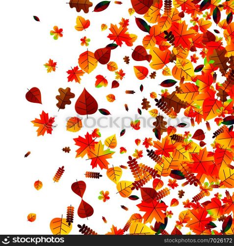 Autumn leaves scattered background with oak, maple and rowan