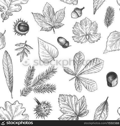 Autumn leaves seamless pattern. Hand drawn fallen leaf, acorns, cones print for textile. Wallpapers, gift wrap or scrapbook vector texture. Engraved foliage, leaves and spruce needles. Autumn leaves seamless pattern. Hand drawn fallen leaf, acorns, cones print for textile. Wallpapers, gift wrap or scrapbook vector texture