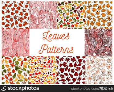 Autumn leaves seamless patterns set with fruits and seeds. Red, orange and yellow autumnal fallen leaves, acorns, rowanberry fruits and dry herbs on white background. Autumn leaves with acorns seamless patterns