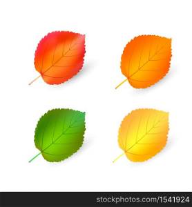 autumn leaves set, bundle vector illustration mesh. Isolated on a white background. Simple cartoon multicolor style.. autumn leaves set, bundle vector illustration mesh. Isolated on a white background. Simple cartoon multicolor style