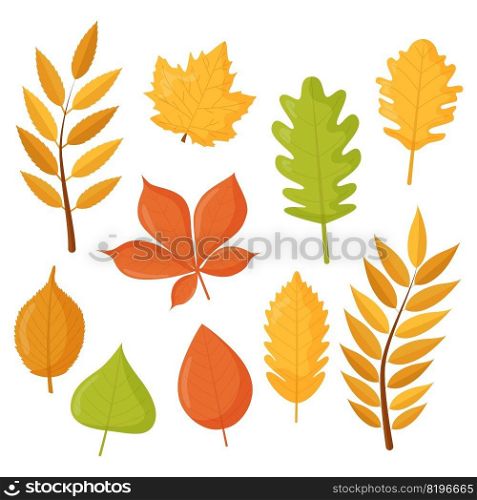 Autumn leaves set, isolated on white background. Flat vector illustration. Design for stickers, logo, web and mobile app. Autumn leaves set, isolated on white background. Flat vector illustration. Design for stickers, logo, web and mobile app.