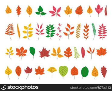 Autumn leaves set. Red maple leaf, fall season foliage forest icons. Cartoon flat colorful yellow and orange decorative branches, classy vector clipart. Illustration of fall autumn leaf. Autumn leaves set. Red maple leaf, fall season foliage forest icons. Cartoon flat colorful yellow and orange decorative branches, classy vector clipart