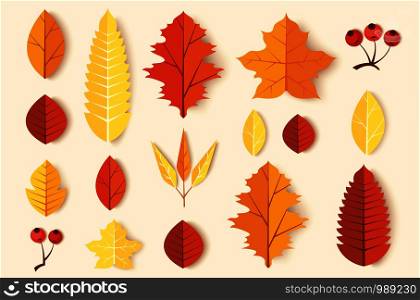 Autumn leaves set vector illustration EPS10