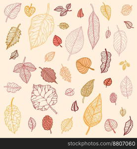 Autumn leaves set vector image