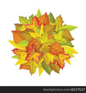 Autumn leaves vector concept. Flat design. Ball from colored leaves of maple, willow, linden trees, white free space around. For photo decoration, nature concept, seasonal promotion and ad design. Autumn Leaves Vector Concept in Flat Design . Autumn Leaves Vector Concept in Flat Design