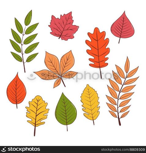 Autumn leaves. Vector illustration in hand drawn style.. Autumn leaves. Vector illustration in hand drawn style