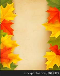 Autumn leaves with old paper. Back to school. Vector