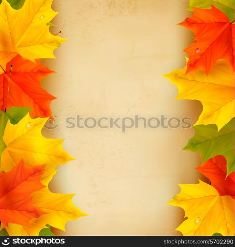 Autumn leaves with old paper. Back to school. Vector.