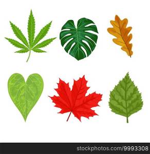 Autumn leaves. Yellow autumnal garden leaf, red fall leaf and fallen dry leaves. Botanical forest plants or september october tree foliage. Flat isolated vector symbols set 
