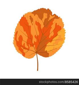 Autumn linden leaf. Leaf fall. Vector illustration.