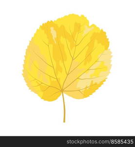 Autumn linden leaf. Leaf fall. Vector illustration.