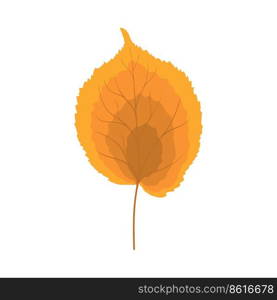 Autumn linden leaf. Leaf fall. Vector illustration.