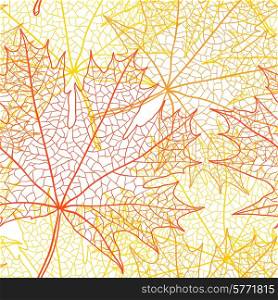 Autumn macro leaf of maple. Vector bacground