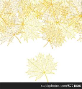 Autumn macro leaf of maple. Vector bacground.. Autumn macro leaf of maple. Vector bacground