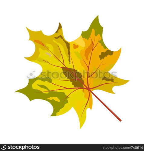 Autumn Maple Leaf. Fall Collection. Vector illustration.