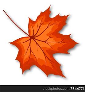 Autumn maple leaf. Fall leaf with shadow. Vector illustration.