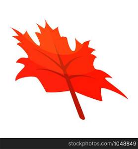 Autumn maple leaf icon. Isometric of autumn maple leaf vector icon for web design isolated on white background. Autumn maple leaf icon, isometric style