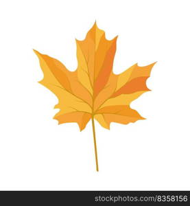 Autumn maple leaf. Leaf fall. Vector illustration.