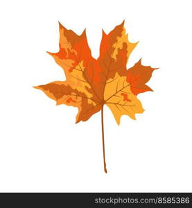 Autumn maple leaf. Leaf fall. Vector illustration.