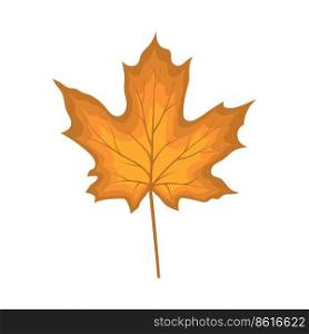 Autumn maple leaf. Leaf fall. Vector illustration.