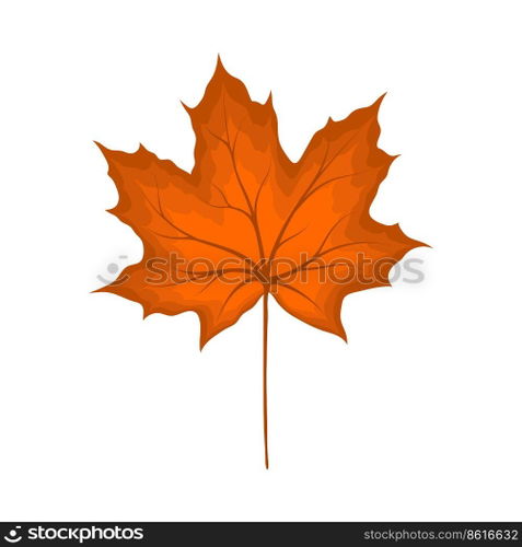 Autumn maple leaf. Leaf fall. Vector illustration.