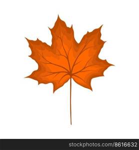 Autumn maple leaf. Leaf fall. Vector illustration.