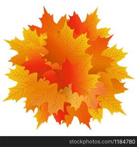 Autumn maple leaf on a white background and banner. Autumn maple leaf on a white background