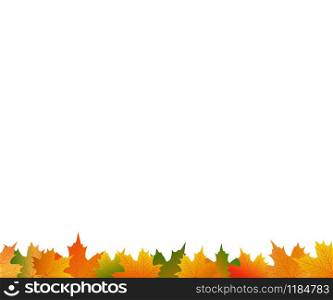 Autumn maple leaf on a white background close-up. Autumn maple leaf on a white background