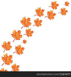 autumn maple leaves