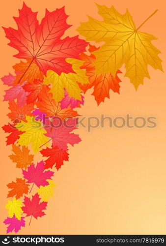 Autumn maple leaves.