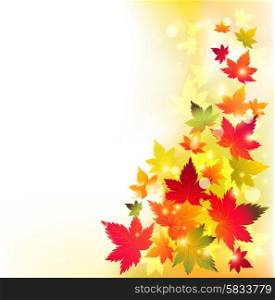 Autumn maple leaves background. Autumn maple leaves background. Vector illustration. EPS 10