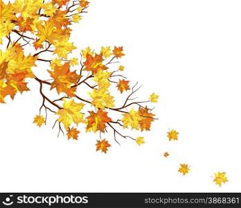 Autumn maple leaves background. EPS 10 vector illustration.