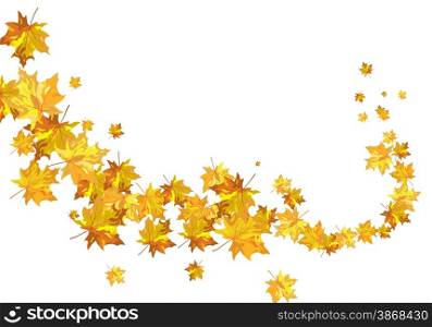 Autumn maple leaves background. EPS 10 vector illustration.