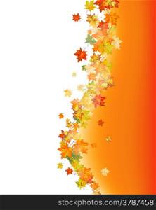 Autumn maple leaves background. Vector illustration with transparency and mesh EPS10.