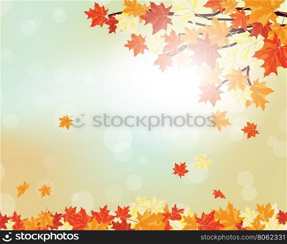 Autumn maple leaves background. Vector illustration with transparency and mesh. EPS10.