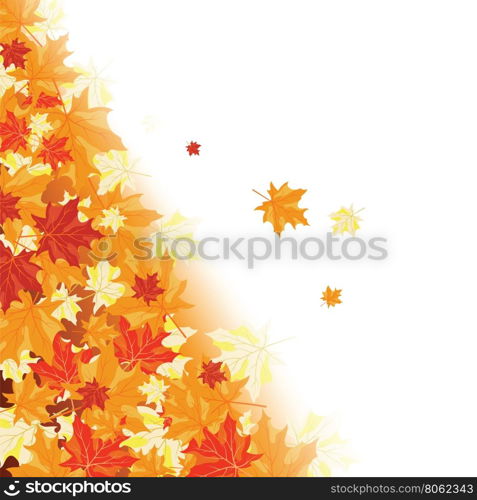 Autumn maple leaves background. Vector illustration with transparency and mesh. EPS10.