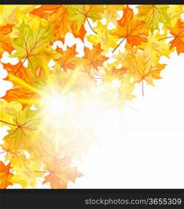 Autumn maple leaves background. Vector illustration with transparency and meshes. EPS10.