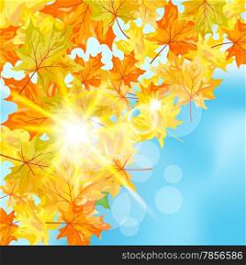 Autumn maple leaves background. Vector illustration with transparency and meshes. EPS10.