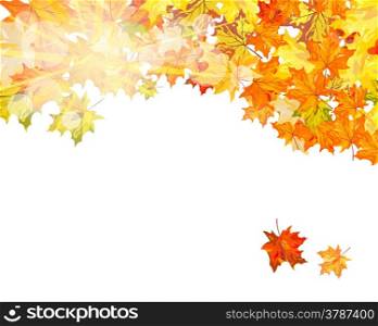 Autumn maple leaves background. Vector illustration with transparency EPS10.