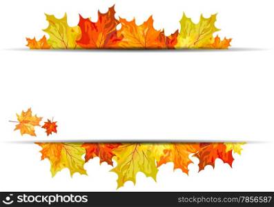Autumn maple leaves background. Vector illustration with transparency. EPS10.