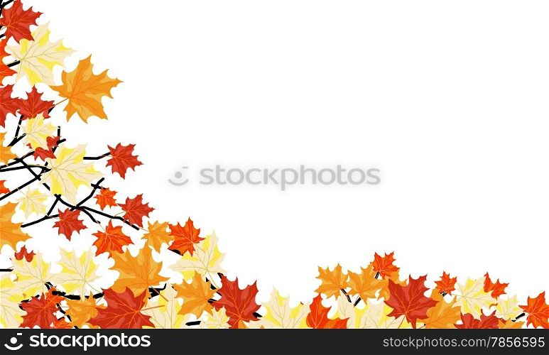 Autumn maple leaves background. Vector illustration without transparency. EPS10.