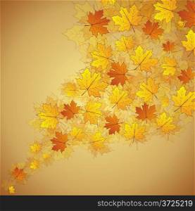 Autumn maple leaves stream yellow and orange colored background.