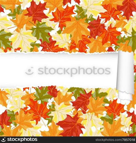 Autumn maple seamless pattern with ripped stripe. EPS 10 vector illustration.