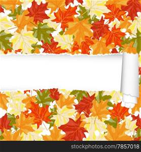 Autumn maple seamless pattern with ripped stripe. EPS 10 vector illustration.