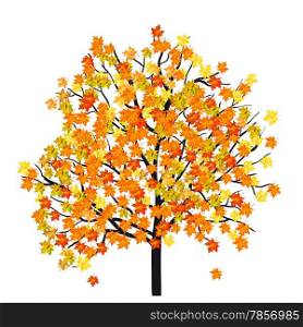 Autumn maple tree. EPS 10 Vector illustration without transparency.