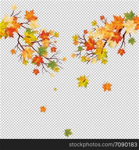 Autumn maple tree with falling leaves. Vector illustration.
