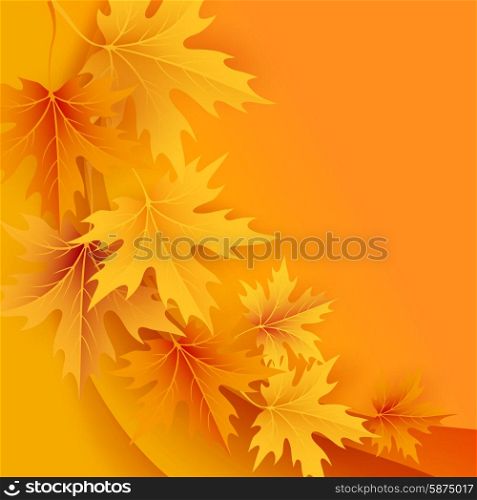 Autumn maples falling leaves background. . Autumn maples falling leaves background. Vector illustration.