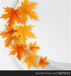 Autumn maples falling leaves background. . Autumn maples falling leaves background. Vector illustration.